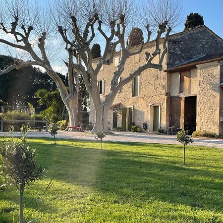Gite Mas Provencal Tarascon Exteriör bild