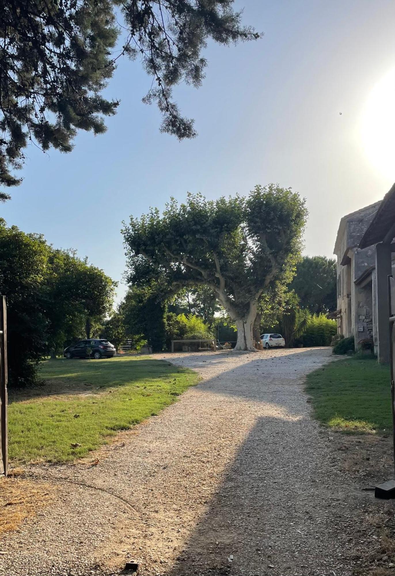 Gite Mas Provencal Tarascon Exteriör bild