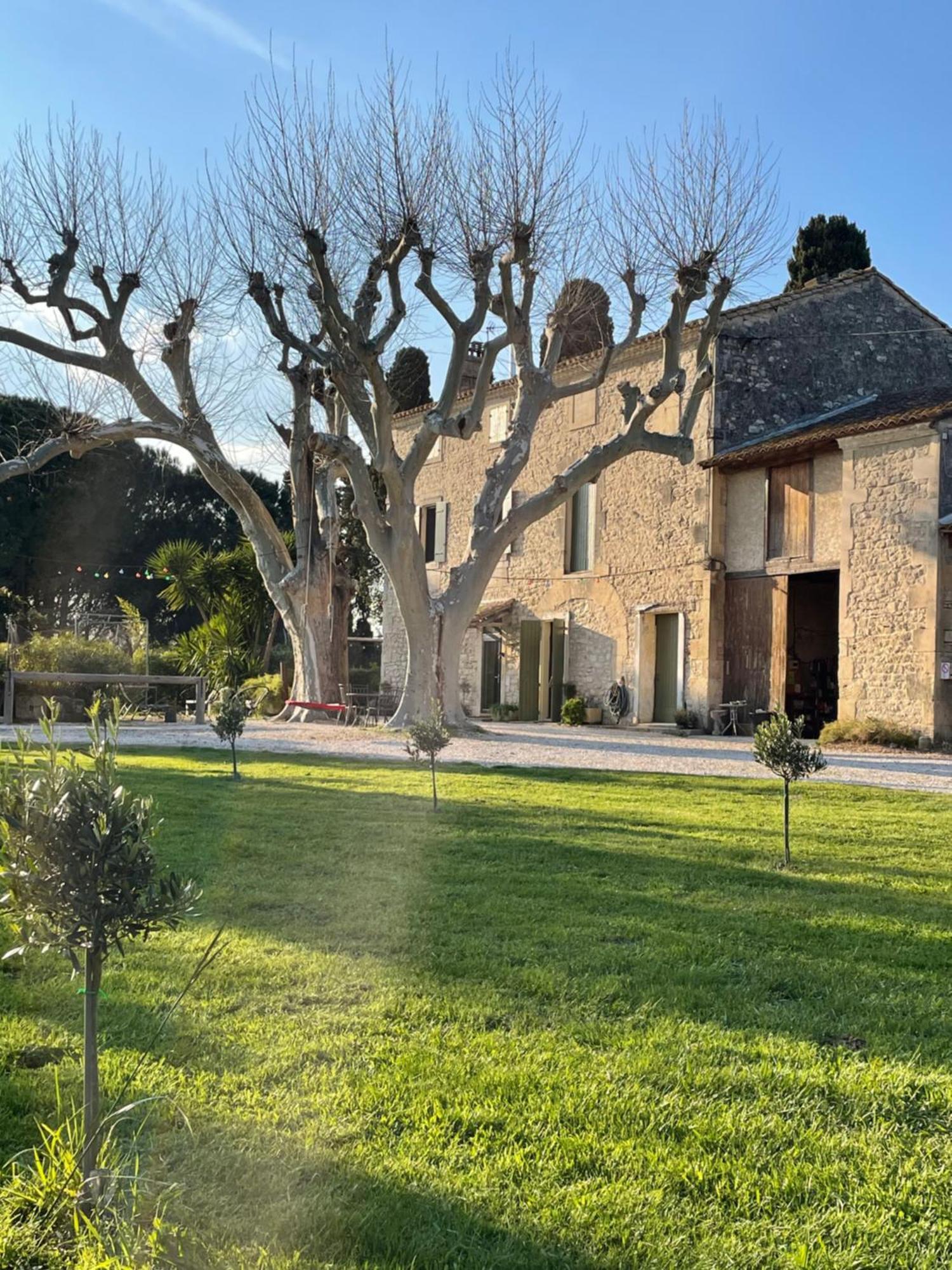 Gite Mas Provencal Tarascon Exteriör bild
